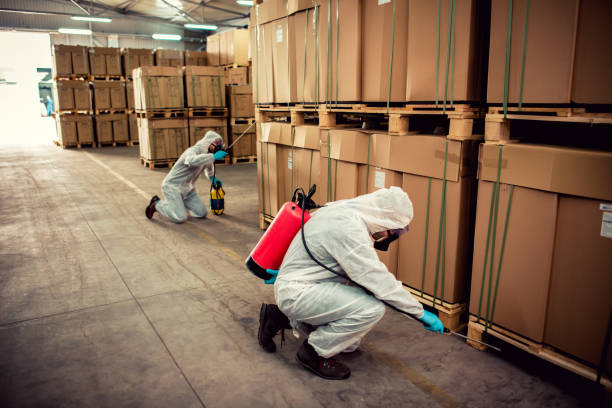 Best Local Pest Control Services  in Mendota Heights, MN
