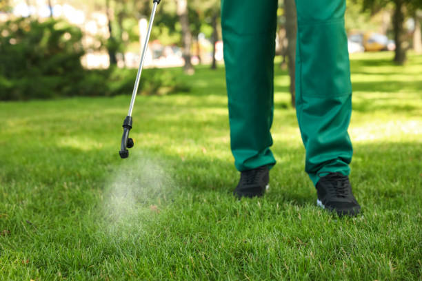 Wasp Removal Services in Mendota Heights, MN
