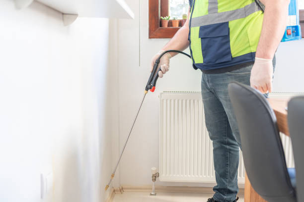 Best Termite Control Services  in Mendota Heights, MN