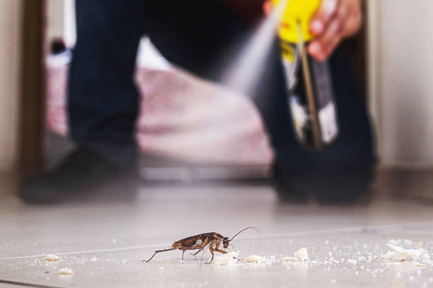 Best Cockroach Control Services  in Mendota Heights, MN