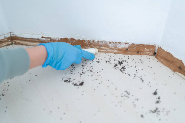 Best Wasp Removal Services  in Mendota Heights, MN